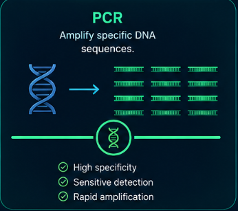PCR method card showing DNA amplification, high specificity, sensitive detection, and rapid amplification