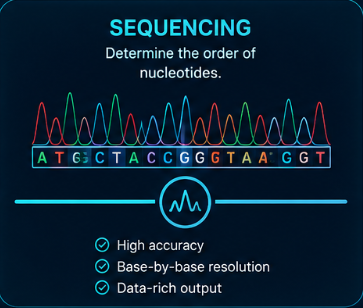 Sequencing method card